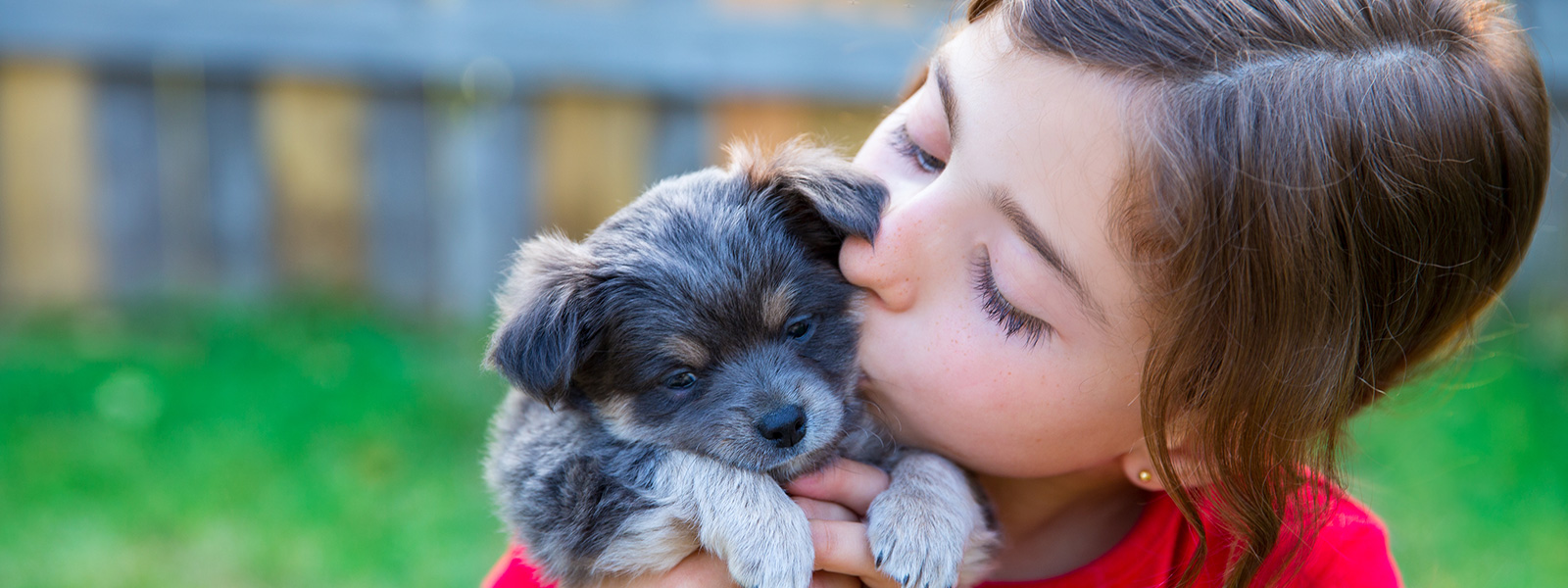 The Vets on Balwyn Guide to Caring for a New Puppy